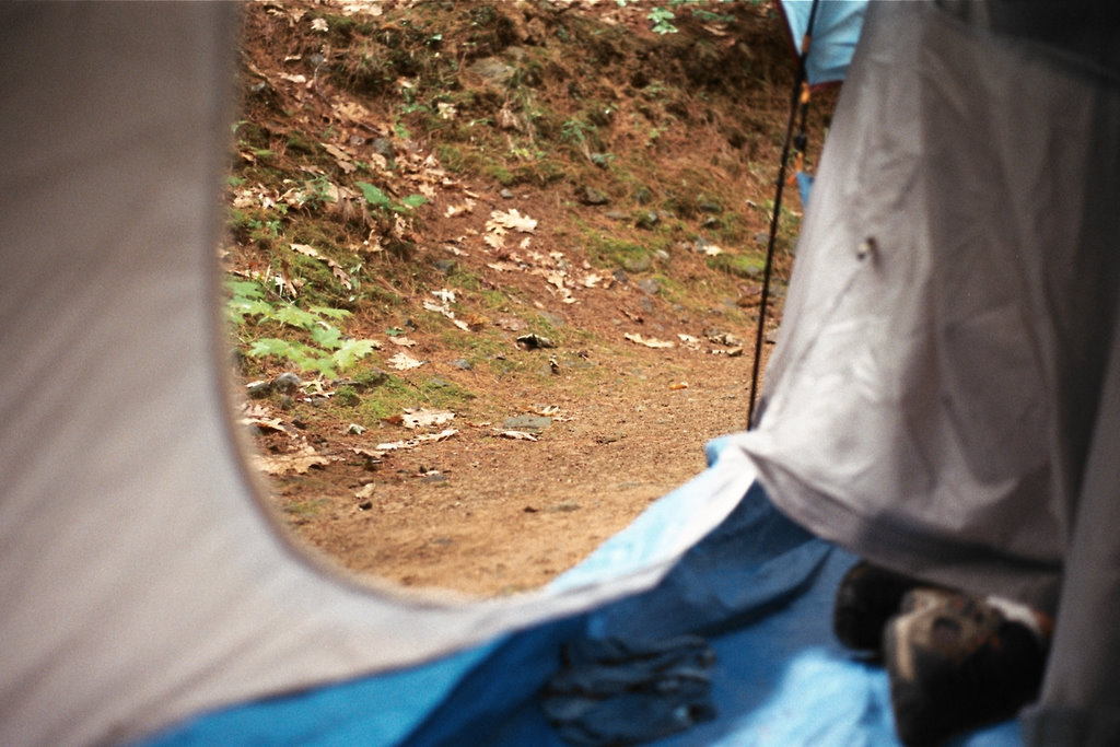 Camping Vibes